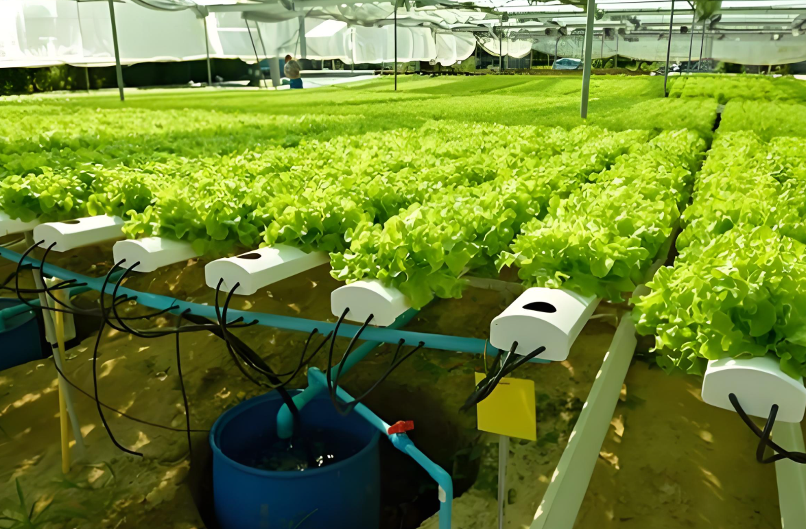 園林灌溉智能化：開啟綠色園林新時代